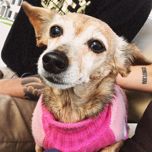 Meet your Posher, Meg💚 - Picture 10 of 11